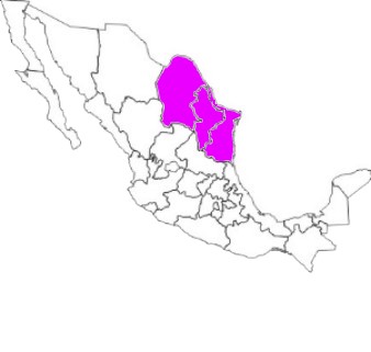 zona3