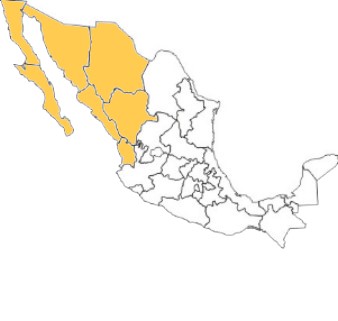 zona4