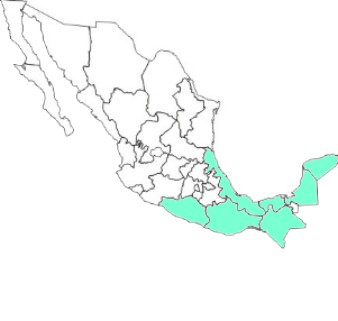 zona5